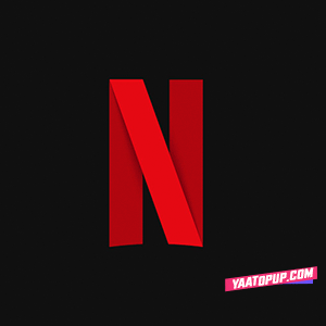 Netflix-icon